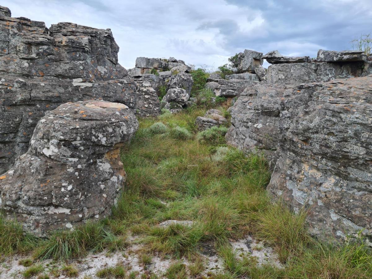 Coddiwomple Cottage Kaapsehoop Buitenkant foto